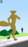  2014 anthro birthday_suit canine female gangstaguru mammal nude outside path streaking strut yolo 