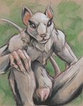  2014 anatomically_correct anatomically_correct_pussy anthro colored_pencil_(artwork) coypowers female guild_wars guild_wars_2 looking_at_viewer mammal pussy rat rodent skritt solo traditional_media_(artwork) video_games 