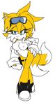  akatsukishiranui-fox breasts canine crossgender female fox mammal melissa_&quot;tailsko&quot;_prower miles_prower nude sega sonic_(series) 