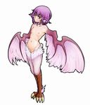  animal_ears bird_ears breasts claws collarbone feathered_wings feathers full_body harpy looking_at_viewer monster_girl mystia_lorelei navel nipples nude purple_hair ribs shimuro_(mentsukidou) short_hair small_breasts smile solo touhou white_background wings yellow_eyes 