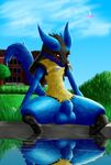  animal_genitalia balls black_nose blue_fur blush butt canine cloud dark_violet day flower fur grass hourse looking_at_viewer lucario male mammal moon nintendo nude outside penis plant pok&eacute;mon presenting red_eyes shadow sitting sky smile solo spikes spread_legs spreading video_games water 