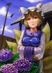  bad_id bad_pixiv_id bee blonde_hair blue_sky bug day face flower hands_in_opposite_sleeves hat hydrangea insect kurione_(zassou) long_sleeves looking_at_viewer multiple_tails orange_eyes outdoors pillow_hat power_lines short_hair sky solo tail tassel telephone_pole touhou wide_sleeves yakumo_ran 