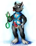  2018 041744 anthro canine collar dog german_shepherd harness hi_res knot leash male mammal penis solo tongue 