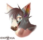  2015 black_hair blue_eyes blue_fur canine dog ear_piercing entoxia fur hair husky industrial_piercing male mammal piercing rainbow rainbow_ears sparklepaws 