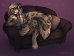  bell cherrybox coffee_mug collar digitigrade feline leopard male mammal pillow reyathae snow_leopard sofa 