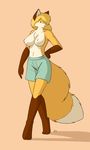  2015 anthro big_breasts blonde_hair blue_eyes breasts brown_fur canine clothed clothing female fluffy_tail fox fur hair half-dressed mammal orange_fur solo starfighter swimming_trunks swimsuit topless white_fur 