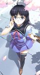  adjusting_eyewear ahoge bag black_hair black_legwear blue_eyes cherry_blossoms from_above glasses looking_at_viewer original petals ribbon school_bag school_briefcase school_uniform serafuku shoes short_hair solo thighhighs uchiu_kazuma zettai_ryouiki 