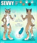  2014 anthro balls barbs brown_fur butt digitigrade ear_tuft erection etuix eyewear feline front_view fur glasses lynx male mammal model_sheet nipples nude pawpads paws penis rear_view sevvy sheath short_tail slim smile solo spots teal_eyes teal_hair teal_penis tuft white_belly white_fur 