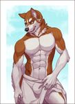  abs anthro blue_eyes canine dog feralise husky male mammal solo towel 