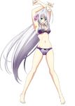  bra high_school_dxd official_art panties rossweisse underwear 