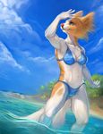  anthro beach bikini breasts canine clothing cloud dog female fur green_eyes island looking_up mammal orange_fur painting portrait sea seaside smile solo swimsuit water white_fur 