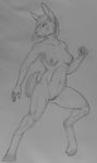  2015 abs anthro areola breasts bunnybutts_(artist) claws digitigrade female hair humanoid lagomorph mammal nipples nude paws plain_background pussy rabbit raised_leg raised_tail sketch smile solo spread_legs spreading standing thick_thighs 