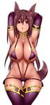  animal_ears aoinagi armpits arms_behind_head arms_up bikini breasts brown_hair chestnut_mouth cleavage collarbone dog_ears dog_tail elbow_gloves gloves large_breasts long_hair open_mouth original purple_bikini purple_eyes purple_gloves purple_legwear solo swimsuit tail thighhighs very_long_hair 
