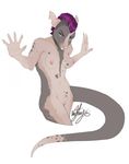  2015 anthro blue_eyes breasts female hair mammal nipple_piercing nipples nude piercing plain_background purple_hair pussy rat rodent solo vexstacy white_background 