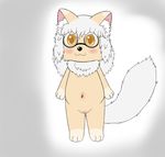  blush bow canine cat clothing cub dog eyewear feline female glasses hair mammal millicent navel nude pussy sirbrownbear solo white_hair young 