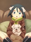  :o animal animal_ears black_hair blue_eyes blush brave_witches bulldog couch dog dog_ears highres kanno_naoe kinosaki_(green_patio) long_sleeves open_mouth scarf short_hair sitting solo world_witches_series 