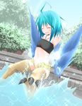  ahoge blue_hair blue_wings breasts closed_eyes day dutch_angle feathered_wings feathers gennsui happy harpy monster_girl monster_musume_no_iru_nichijou navel open_mouth outdoors papi_(monster_musume) short_shorts shorts small_breasts smile solo splashing talons unbuttoned water wings 