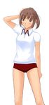  brown_eyes brown_hair buruma gym_uniform hand_on_own_head kimi_kiss non-web_source ponytail sakino_asuka short_hair solo 