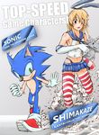  commentary_request crossover highres hiro_iketenai kantai_collection shimakaze_(kantai_collection) sonic sonic_the_hedgehog thighhighs trait_connection 