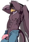  abs arms_behind_head avian balls beak black_hair clothed clothing flaccid gryphon hair half-dressed looking_at_viewer muscles neck_tuft nipples pecs penis plain_background purple_eyes slypon topless white_background wings 