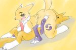  69 bandai canine digimon female fur male mammal occidentalis oral renamon sex 