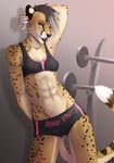  2015 abs alphabitch amber_eyes anthro cheetah clothing feline female mammal muscles muscular_female niobe shorts solo sports_bra spots wyla 