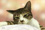  cat cat_focus commentary_request matataku no_humans original realistic signature solo 