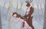  all_fours anal anal_penetration animal_genitalia anthro canine canine_penis cervine doggystyle duo erection from_behind ill_dingo knot looking_back male male/male mammal muscles nude penetration penis precum reindeer sex snow tree wolf 