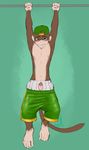  athletic boxers clothing exercise gym jem mammal monkey morenor penis primate shorts underwear 