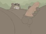  animated bear chubby mammal masturbation penis 
