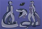  2015 anthro back black_scales breasts dragon female front grey_eyes grey_scales grey_skin hybrid model_sheet nude open_mouth reptile royalty_(artist) scalie smile snake solo teeth tongue tongue_out white_skin 