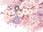  black_hair blue_eyes blue_footwear boots cherry_blossoms flower in_tree japanese_clothes long_hair minigirl original petals shirona smile solo tree 