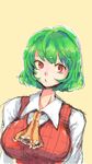  ascot bad_id bad_pixiv_id breasts green_hair highres honi kazami_yuuka large_breasts long_sleeves looking_to_the_side neck plaid plaid_vest red_eyes short_hair simple_background sketch solo touhou upper_body vest 