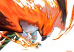  animal_focus beak bird commentary_request fire_type_theme_(pokemon) flying highres pokemon pokemon_(anime) pokemon_(creature) pokemon_focus pokemon_the_series:_xy pokemon_x_and_y simple_background takenoko_oishil talonflame talons white_background 