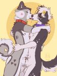 3:4 absurd_res animal_genitalia anthro aston_(ak1ta_one) border_collie canid canine canis collar collie domestic_dog duo fluffy fluffy_tail frottage frottage_kiss genitals herding_dog hi_res hug husky kissing male male/male mammal nordic_sled_dog nugitos pastoral_dog penile penises_touching sex sheath sheath_play sheepdog sloppy_kiss spitz tail
