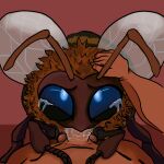1:1 2026 ambiguous_feral ambiguous_gender ambiguous_on_top ambiguous_penetrated antennae_(anatomy) arthropod arthropod_abdomen balls bee bee_simulator bestiality big_penis blue_eyes bodily_fluids dripping duo erection fellatio feral feral_penetrated first_person_view genitals hand_on_head hexapod hi_res human human_on_feral human_penetrating human_penetrating_feral hymenopteran insect interspecies looking_at_viewer looking_up looking_up_at_viewer lying lying_on_ground male male/ambiguous male_human male_on_bottom male_penetrating male_penetrating_ambiguous mammal membrane_(anatomy) membranous_wings on_back on_bottom on_ground on_top oral penetration penile penis penis_in_mouth questionable_consent ruff saliva saliva_drip saliva_on_penis segmented_legs sex tears thick_penis unknown_artist wings