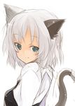  animal_ears cat_ears cat_tail green_eyes looking_back sanya_v_litvyak short_hair silver_hair smile solo sora_to_umi strike_witches tail world_witches_series 