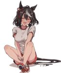  1girl animal_ears black_hair black_tail blush breasts commentary_request gym_shirt gym_shorts hair_between_eyes hair_ornament highres horse_ears horse_girl horse_tail horseshoe indian_style kitasan_black_(umamusume) knees_up looking_at_viewer medium_breasts multicolored_hair open_mouth red_eyes red_shoes red_shorts shino_(ponjiyuusu) shirt shoes short_hair short_sleeves shorts simple_background sitting smile solo streaked_hair tail teeth umamusume upper_teeth_only white_background white_shirt white_streaks 