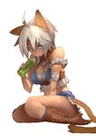  animal_ears bad_id bad_pixiv_id blue_eyes cat_ears cat_tail final_fantasy final_fantasy_xi mithra simple_background solo suzuno_(bookshelf) tail white_hair 