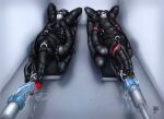 absurd_res balls bdsm bodily_fluids bodysuit bondage bondage_gear bound chastity_cage chastity_device clothing collar cum cum_from_dildo cum_in_mouth cum_inside cum_on_ground d-ring dildo dragon drake239 duo feral fucking_machine genital_fluids genitals hands_tied hi_res horn knot knotted_dildo latex latex_bodysuit latex_clothing latex_skinsuit machine male mythological_creature mythological_scalie mythology oral oral_penetration penetration scalie sex_toy skinsuit thorphax tight_clothing wingbinders wings