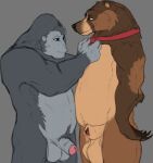 2026 5_fingers absurd_res accessory anatomically_correct anatomically_correct_genitalia anatomically_correct_penis animal_genitalia animal_penis anthro ape arm_markings balls bear belly big_balls biped blue_eyes blue_necktie brown_arms brown_bear brown_body brown_claws brown_ears brown_fur brown_hands brown_legs brown_mane brown_nose brown_pawpads cheek_markings claws digital_drawing_(artwork) digital_media_(artwork) duo facial_markings finger_claws fingernails fingers flaccid foreskin fur fur_markings genitals glans gorilla gorillajack grey_balls grey_body grey_ears grey_fur grey_hands grey_penis grey_skin grizzly_bear hair handpaw haplorhine head_markings hi_res humanoid_genitalia humanoid_penis kuruk_(character) looking_at_another male male_anthro mammal mane mane_hair markings monotone_balls monotone_body monotone_fur monotone_genitals monotone_hands monotone_inner_ear monotone_markings monotone_penis monotone_skin mostly_nude multicolored_body multicolored_fur muzzle_(marking) nails necktie necktie_only nude orange_eyes overweight overweight_anthro overweight_male pawpads paws penis primate red_penis sephrendemon sheath sheath_slit short_ears short_fur side_view sketch slightly_chubby slightly_chubby_anthro slightly_chubby_male small_ears smile snout snout_markings standing tall tan_balls tan_belly tan_body tan_fur tan_inner_ear tan_markings tan_sheath third-party_edit toe_claws two_tone_body two_tone_fur ursidae ursine ursine_ears
