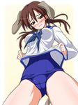  akimoto_dai animal_ears blush brown_eyes brown_hair cosplay dog_ears gertrud_barkhorn hayakawa_ion long_hair miyafuji_yoshika miyafuji_yoshika_(cosplay) neckerchief no_pants one-piece_swimsuit school_swimsuit school_uniform serafuku shirt_lift solo strike_witches swimsuit swimsuit_under_clothes tail twintails uniform world_witches_series 