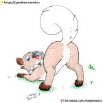 ass_up blue_eyes butt canid crotch_lines female feral flower generation_7_pokemon grass hi_res looking_back mammal nintendo open_mouth open_smile painting_(artwork) patreon patreon_exclusive patreon_logo patreon_username paws pink_nose plant pokemon pokemon_(species) presenting presenting_hindquarters raised_tail rockruff smile solo spread_legs spreading tail text traditional_media_(artwork) traditional_painting_(artwork) url yordraw