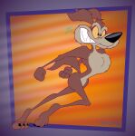 2026 3_toes 4_fingers abstract_background alternate_version_at_paywall anthro arm_tuft athletic athletic_anthro athletic_male back_tuft belly bent_leg big_butt biped black_eyes black_nose black_toe_claws bodily_fluids brown_body brown_fur butt calf_tuft canid canine canis casual_nudity chest_tuft claws clenched_teeth colored coyote curling_tail curvy_figure determined digital_drawing_(artwork) digital_media_(artwork) ears_back elbow_tuft eyebrows fangs feet fingers flat_colors fluffy fluffy_chest fluffy_tail fur gavanzude head_tuft hi_res hourglass_figure humanoid_feet humanoid_hands humanoid_heel knee_tuft leg_tuft looney_tunes male mammal mischievous mischievous_smile multicolored_body multicolored_fur nude nude_anthro nude_male open_mouth open_smile paws pecs pinup pivoted_ears plantigrade pose puffed_out_chest raised_heel raised_tail ribs running sharp_teeth shoulder_tuft signature skinny skinny_anthro skinny_male slim slim_anthro slim_male small_waist smile solo speed_line_background speed_lines sweat sweatdrop tail tan_belly tan_body tan_eyebrows tan_fur tasteful_nudity teeth tiptoes toe_claws toes toothy_grin top_heavy tuft two_tone_body two_tone_fur warner_brothers wasp_waist wide_hipped_anthro wide_hipped_male wide_hips wile_e._coyote yellow_sclera
