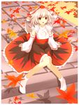  animal_ears autumn chus detached_sleeves fang hat highres inubashiri_momiji leaf maple_leaf red_eyes short_hair silver_hair sitting solo tail tokin_hat touhou wolf_ears wolf_tail 