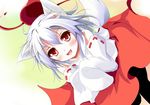  animal_ears detached_sleeves fang hat inubashiri_momiji red_eyes short_hair silver_hair so-ren solo tail tokin_hat touhou wolf_ears wolf_tail 