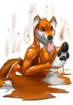  canine feet fox mammal melting paws rubber smelly sticky 