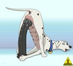  animal_genitalia animated canine character_from_animated_feature_film dildo doberman dog female horsecock mammal penis perdita sex_toy tight_fit wildwulf 