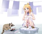  :d animal blonde_hair blue_eyes bubble choker collarbone crab dress freckles hair_ribbon kaneko_(novram58) katharine_ohare laundry long_hair open_mouth panties pantyshot pantyshot_(squatting) ponytail prawn raccoon ribbon ribbon_choker smile solo sponge squatting underwear washing water white_dress white_panties world_witches_series 