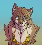  anthro big_breasts bikini blind breasts canine clothing domovoi_lazaroth female fur hair looking_at_viewer luna mammal solo swimsuit wolf 